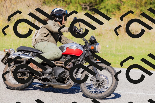 202509201123-_04A0686_c3