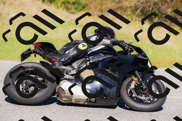 202509201123-_04A0688_c3