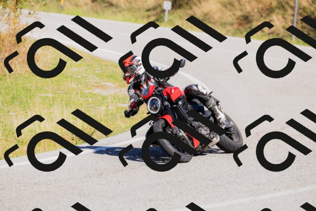 202509201126-_04A0750_c3