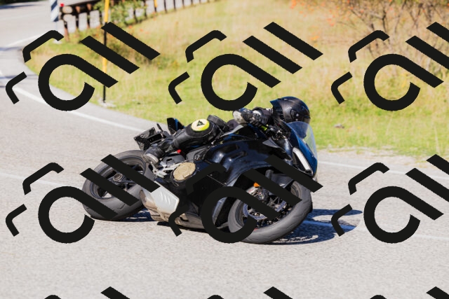 202509201128-_04A0769_c3