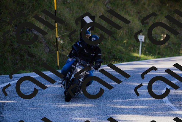 202509201130-_04A0782_c3