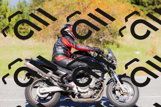 202509201130-_04A0788_c3