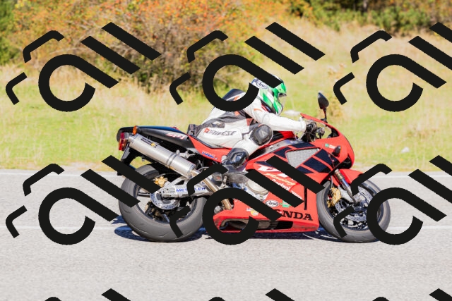 202509201130-_04A0792_c3