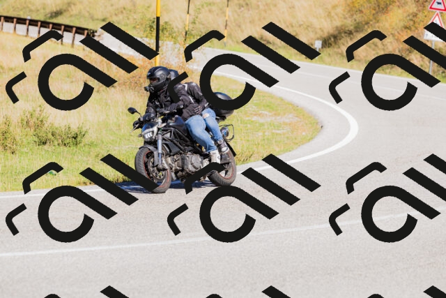 202509201132-_04A0828_c3