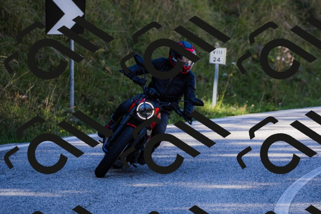 202509201133-_04A0832_c3