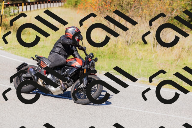 202509201133-_04A0833_c3