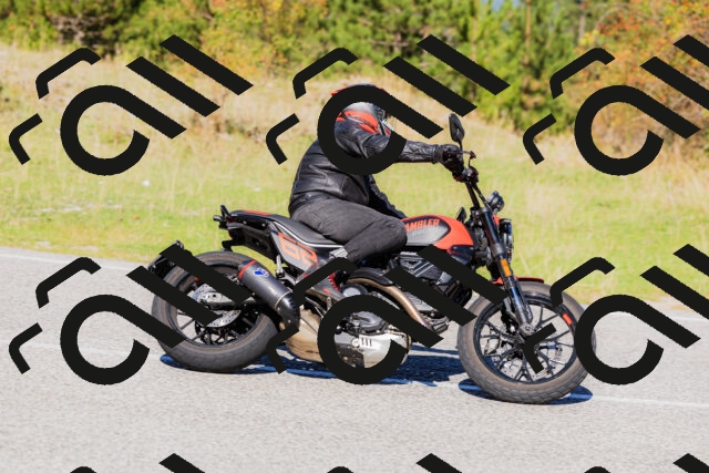 202509201133-_04A0834_c3