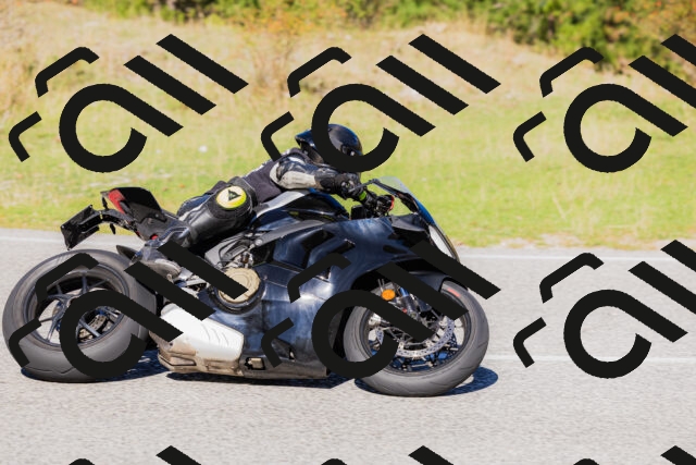 202509201133-_04A0837_c3