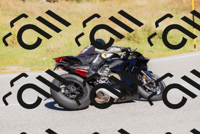 202509201133-_04A0838_c3