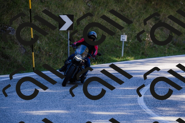 202509201136-_04A0859_c3