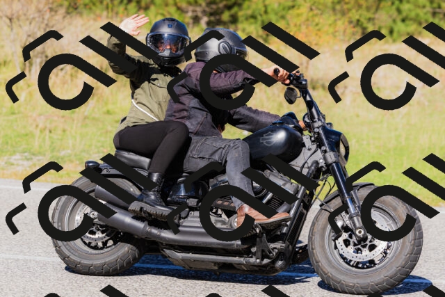 202509201136-_04A0864_c3