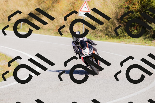 202509201139-_04A0874_c3