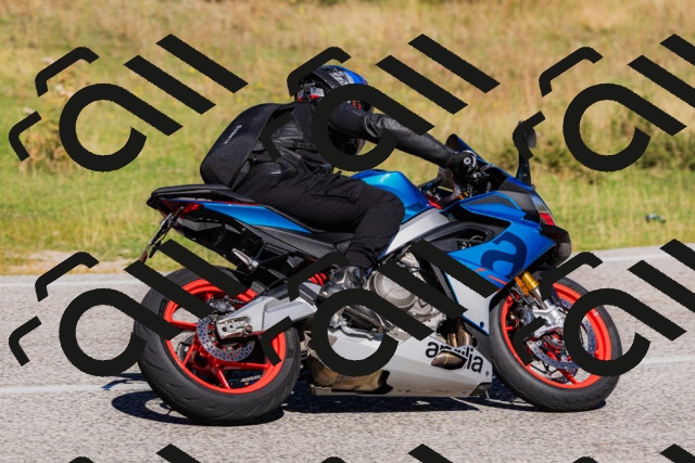 202509201140-_04A0892_c3