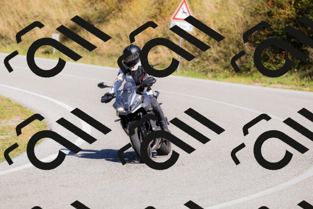 202509201145-_04A0919_c3