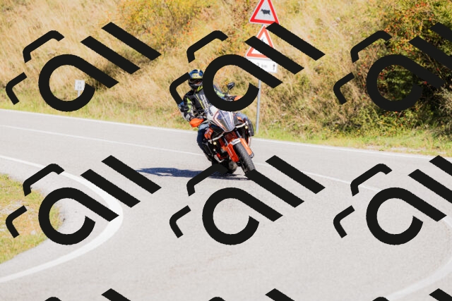 202509201148-_04A0926_c3