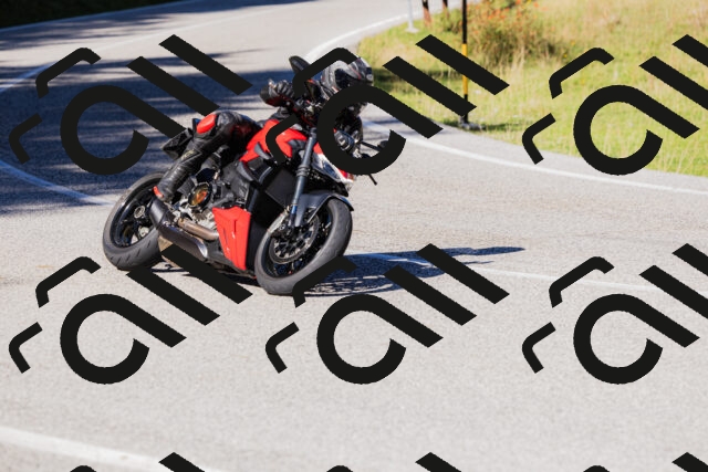 202509201149-_04A0942_c3