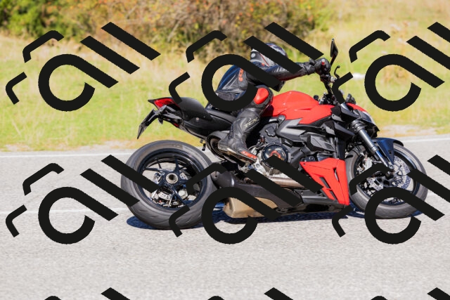 202509201150-_04A0944_c3