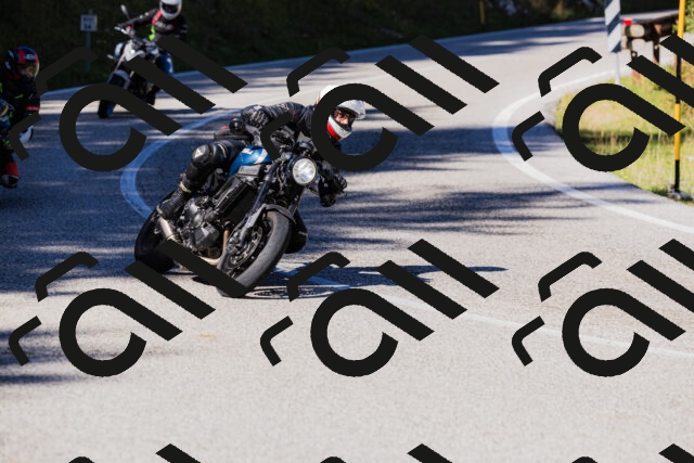 202509201150-_04A0947_c3