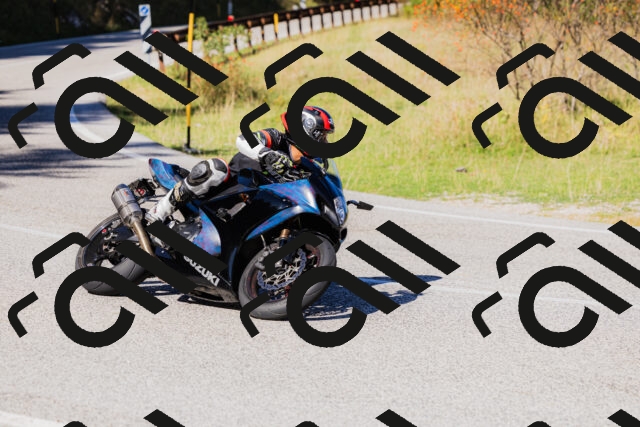 202509201150-_04A0948_c3