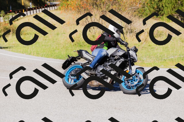 202509201150-_04A0949_c3