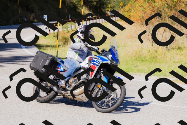 202509201150-_04A0951_c3