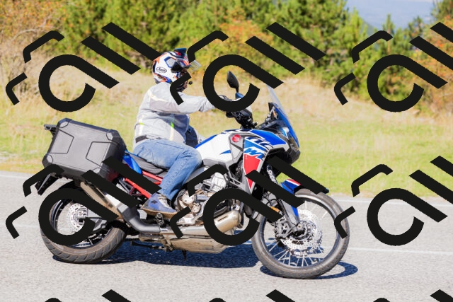 202509201150-_04A0952_c3