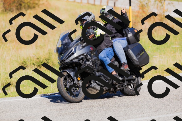 202509201150-_04A0958_c3