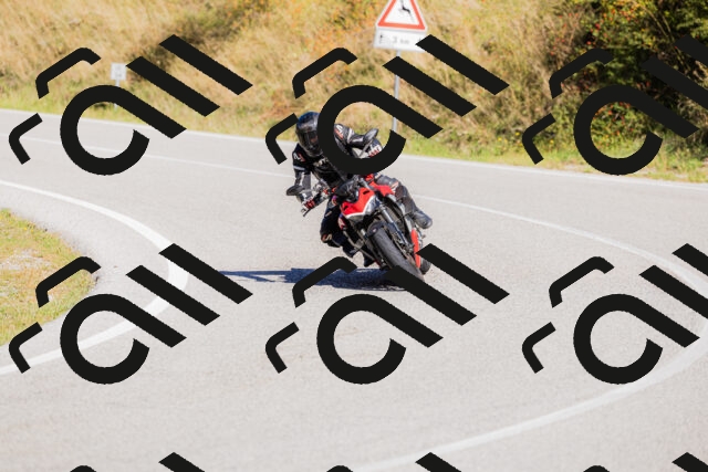 202509201150-_04A0964_c3