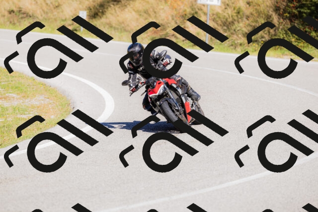 202509201150-_04A0965_c3