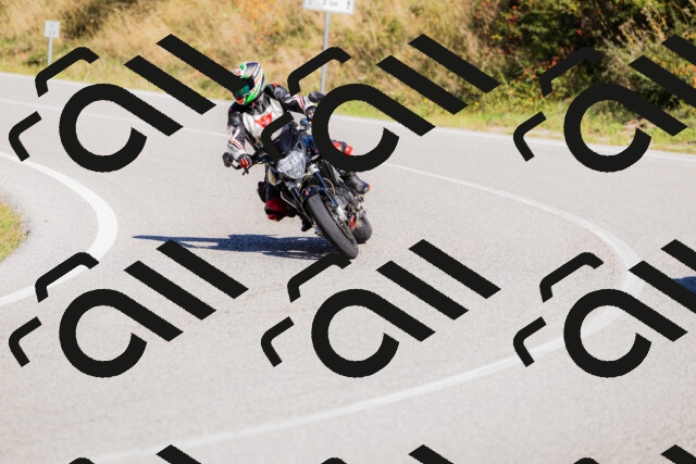 202509201150-_04A0966_c3