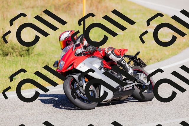 202509201153-_04A1001_c3