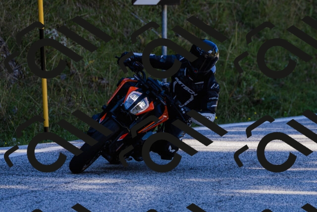 202509201155-_04A1009_c3