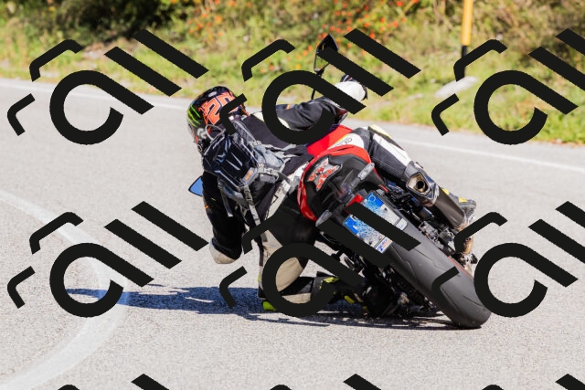 202509201155-_04A1016_c3