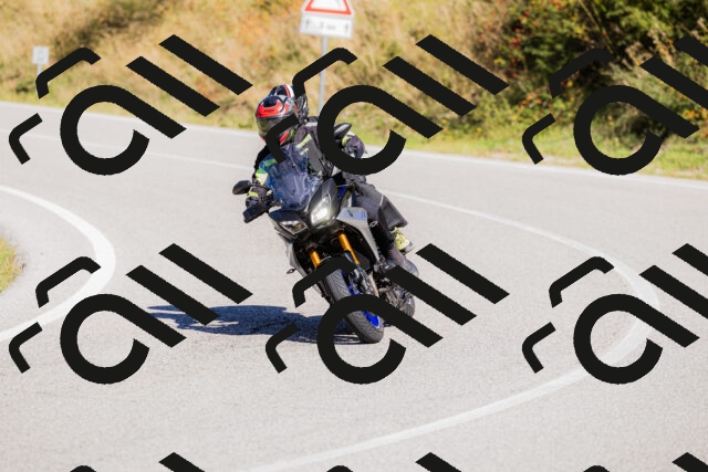 202509201156-_04A1022_c3