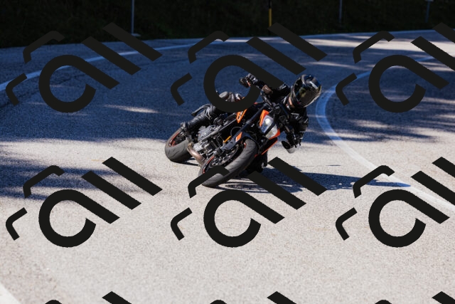 202509201158-_04A1048_c3