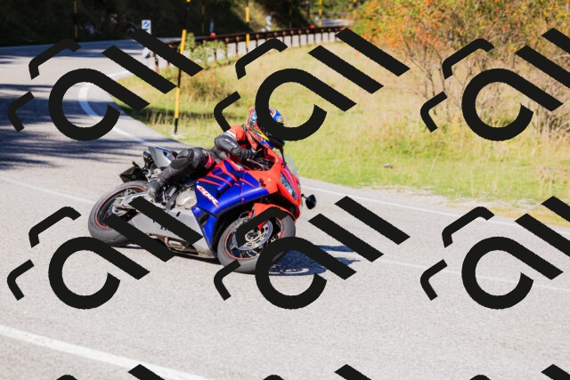 202509201159-_04A1075_c3