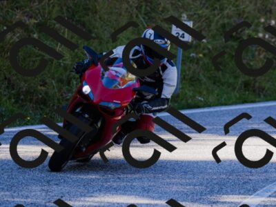 202509201200-_04A1096_c3