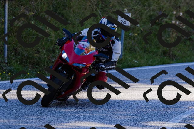 202509201200-_04A1096_c3