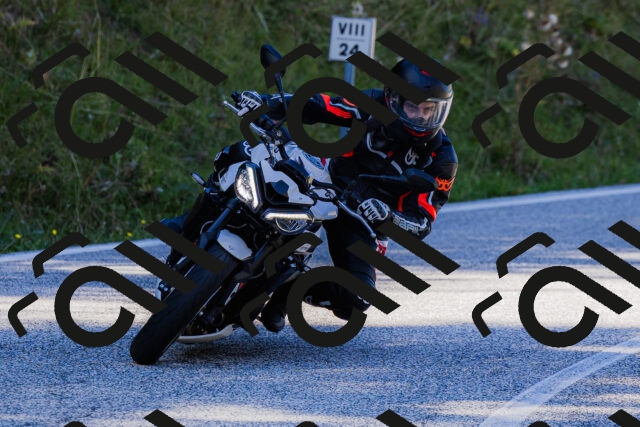 202509201200-_04A1101_c3