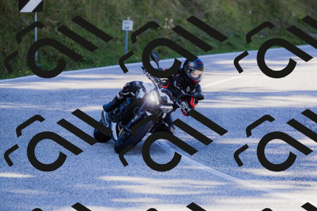 202509201200-_04A1102_c3