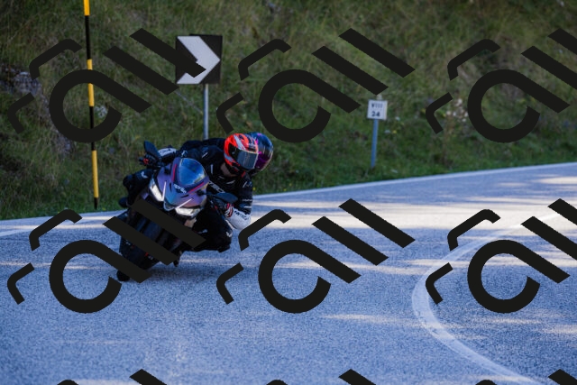 202509201201-_04A1111_c3