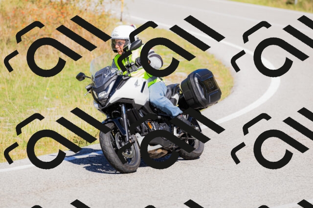 202509201202-_04A1122_c3