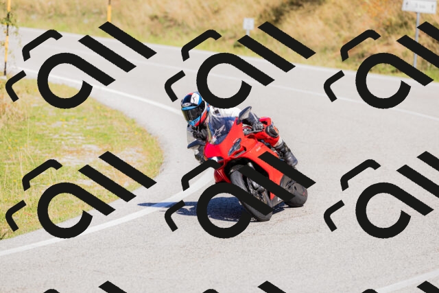 202509201202-_04A1126_c3