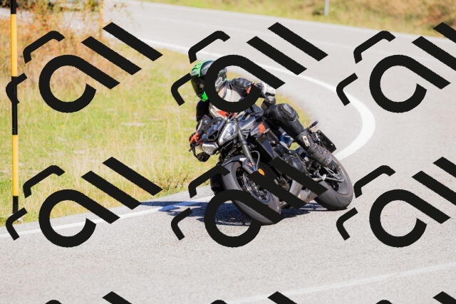 202509201202-_04A1130_c3