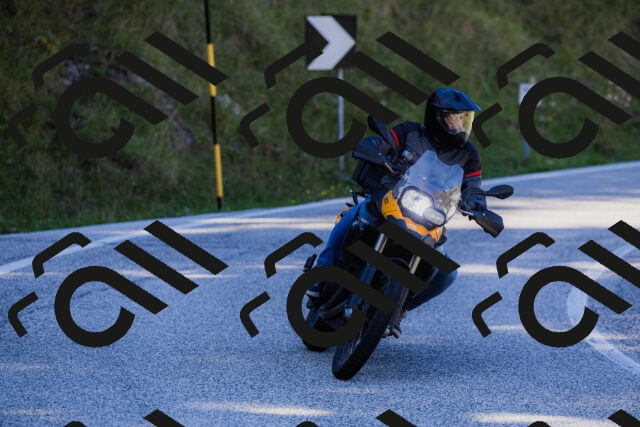 202509201202-_04A1131_c3