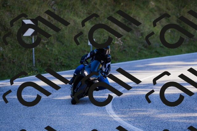 202509201202-_04A1132_c3