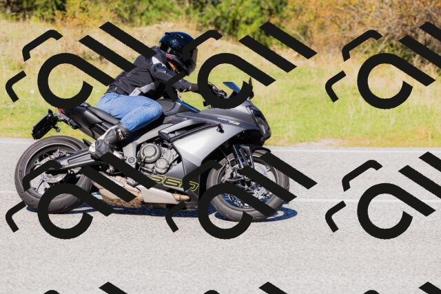 202509201203-_04A1133_c3