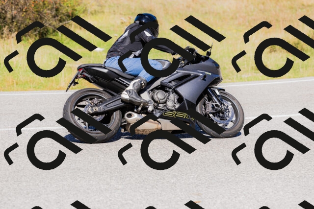 202509201203-_04A1134_c3