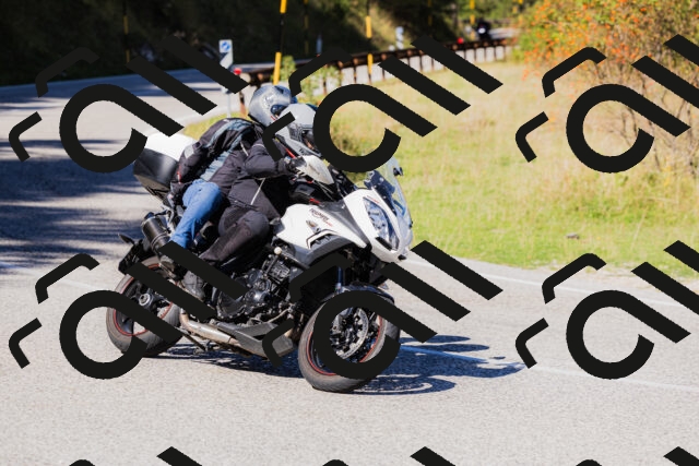 202509201203-_04A1136_c3