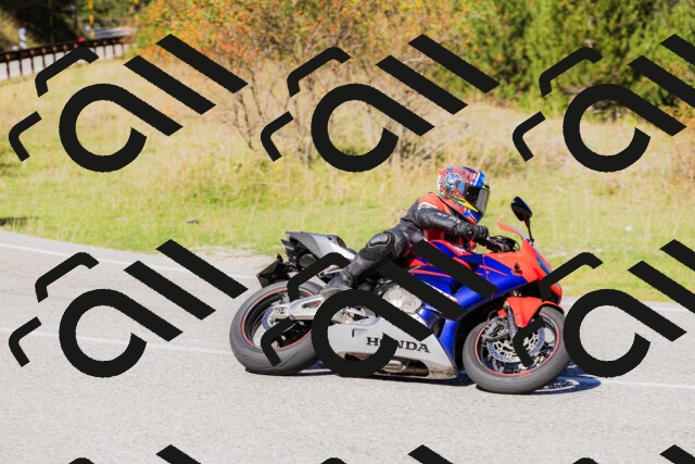 202509201203-_04A1138_c3